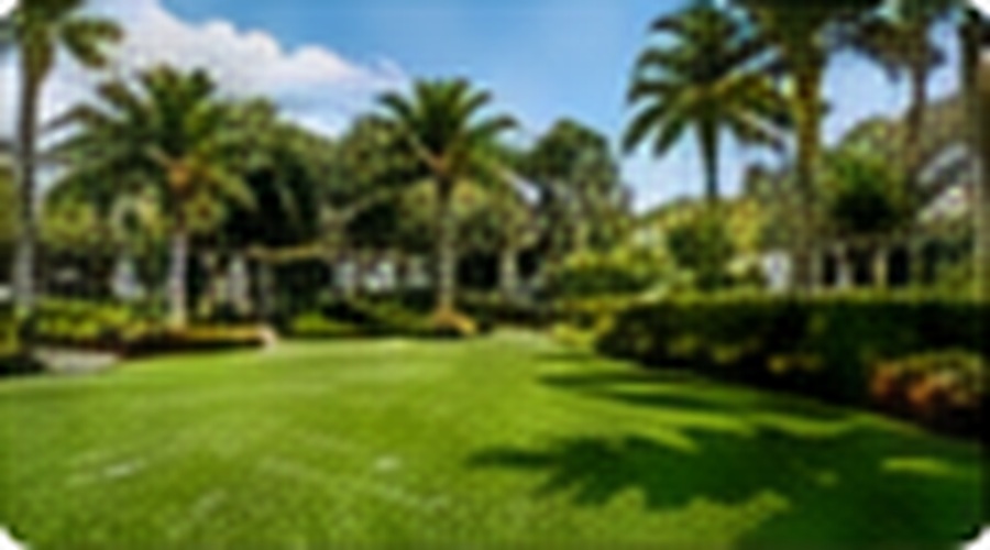 South Florida landscape