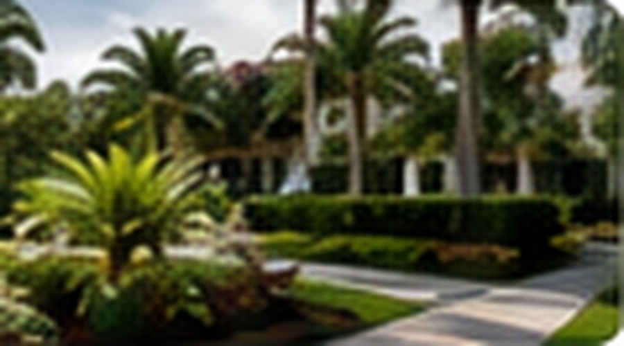 South Florida landscape